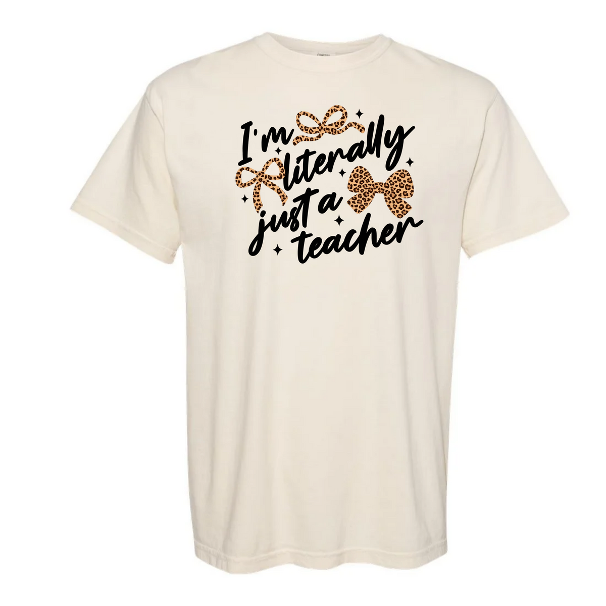 I'm literally just a teacher
