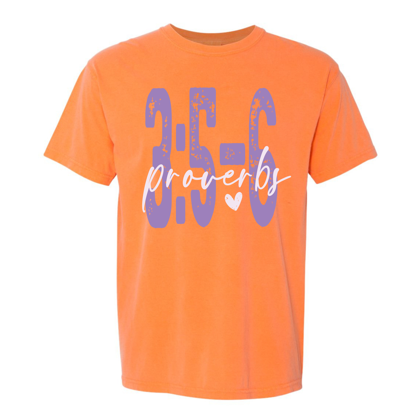 Bible Verse T-Shirts Comfort Colors